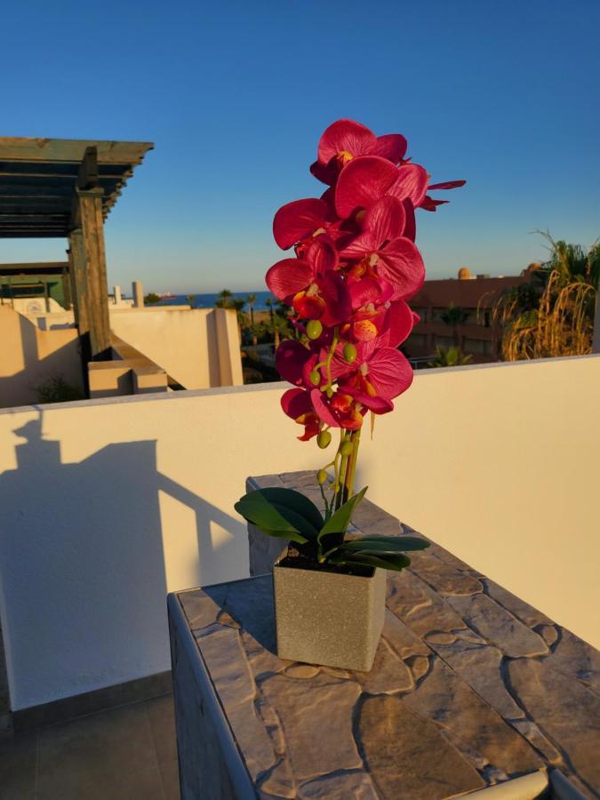 Atico Duplex Precioso Con Piscina Privada En Paraiso De Vera! * Vera